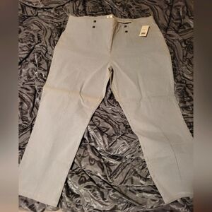 Daily thread dress pants size 2x blue